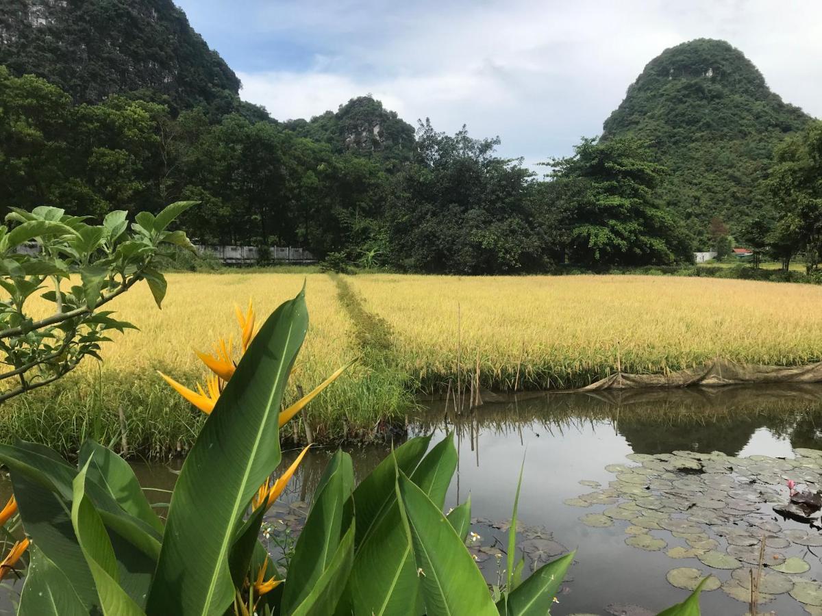 Tam Coc Eco House Ninh Binh Exterior foto