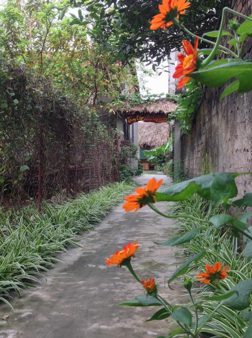 Tam Coc Eco House Ninh Binh Exterior foto